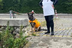 IMG-20240825-WA0054