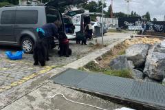 IMG-20240825-WA0062