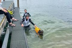 IMG-20240825-WA0068