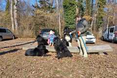 IMG-20220213-WA0014