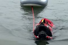 IMG-20241016-WA0040