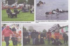 LECHO-1_page_001