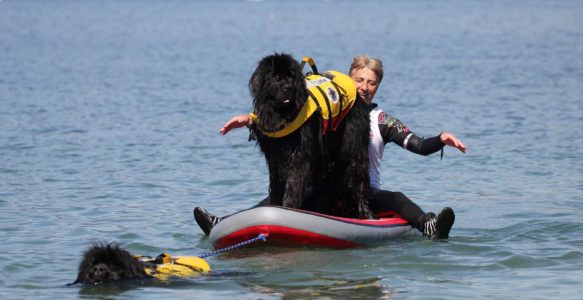 6 octobre 2024, entraînement à l’eau à Rolle, 10h00