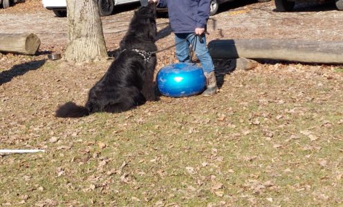 24 mars 2024, entraînement au sol à Gland – ANNULE