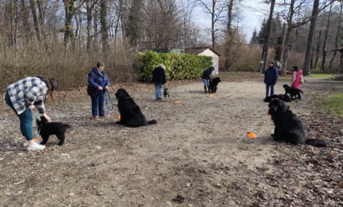 02 mars 2025, entraînement au sol à Gland, 10h00
