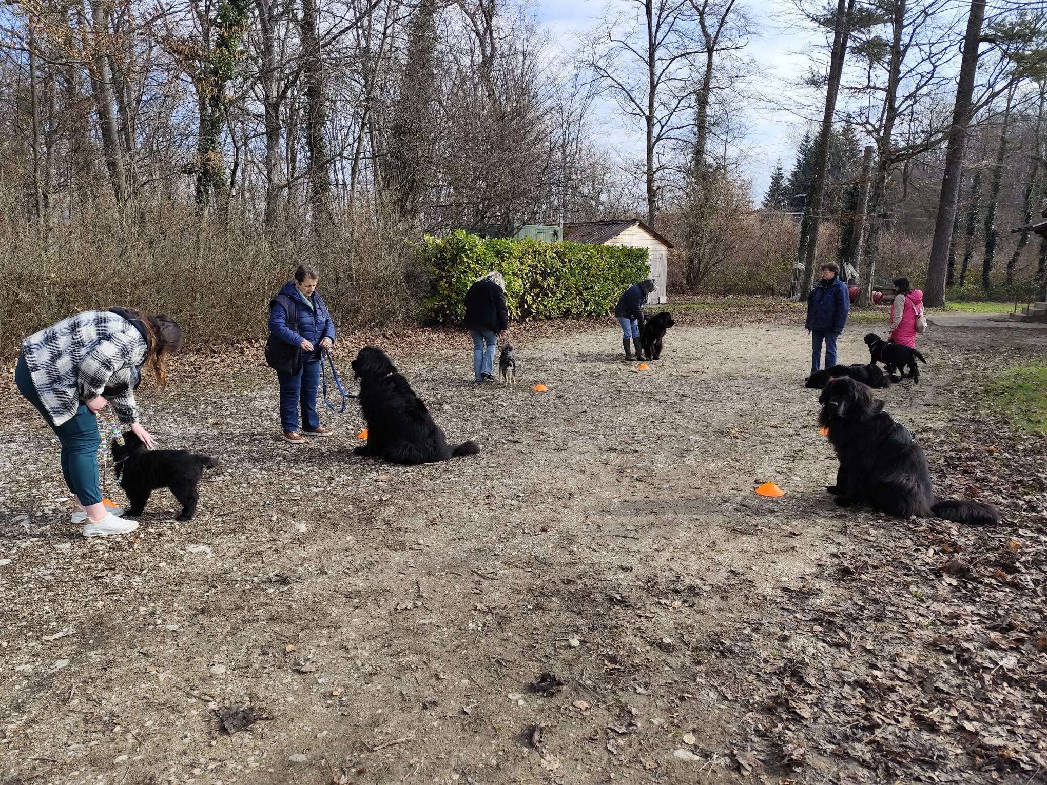 02 mars 2025, entraînement au sol à Gland, 10h00