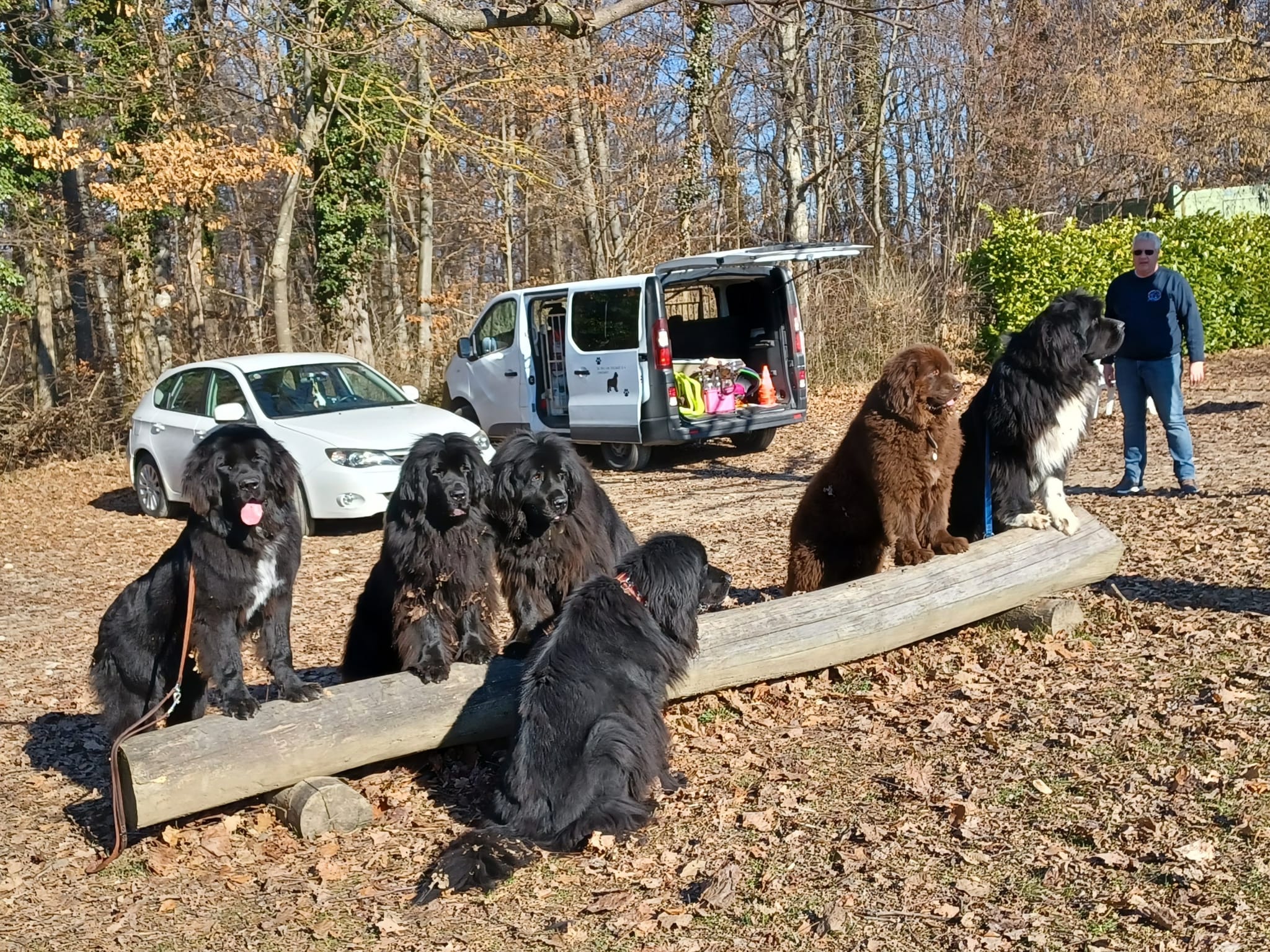 25 février 2024, entraînement au sol à Gland, 10h00