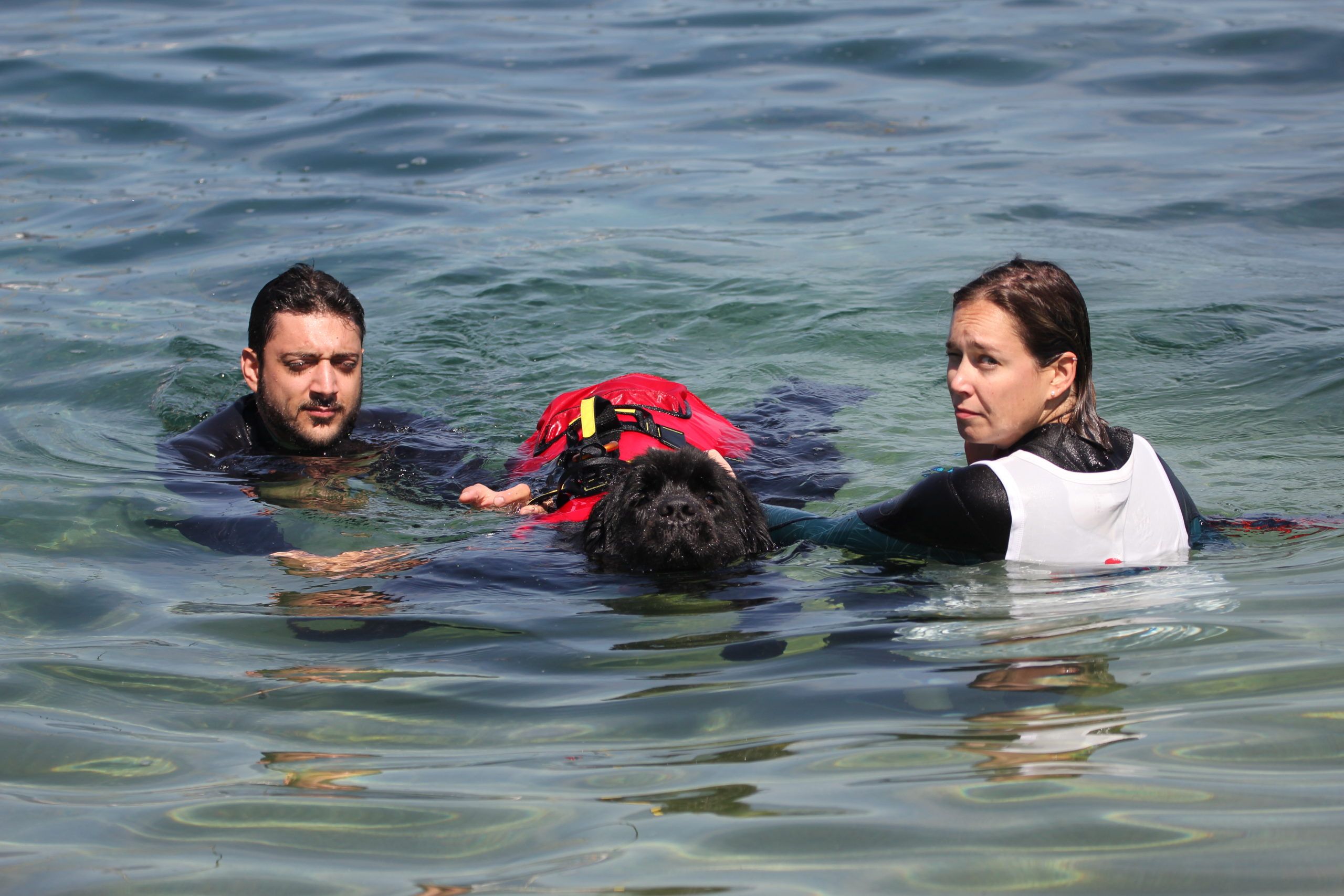 16 juin 2024, entraînement à l’eau à Allaman, 10h00