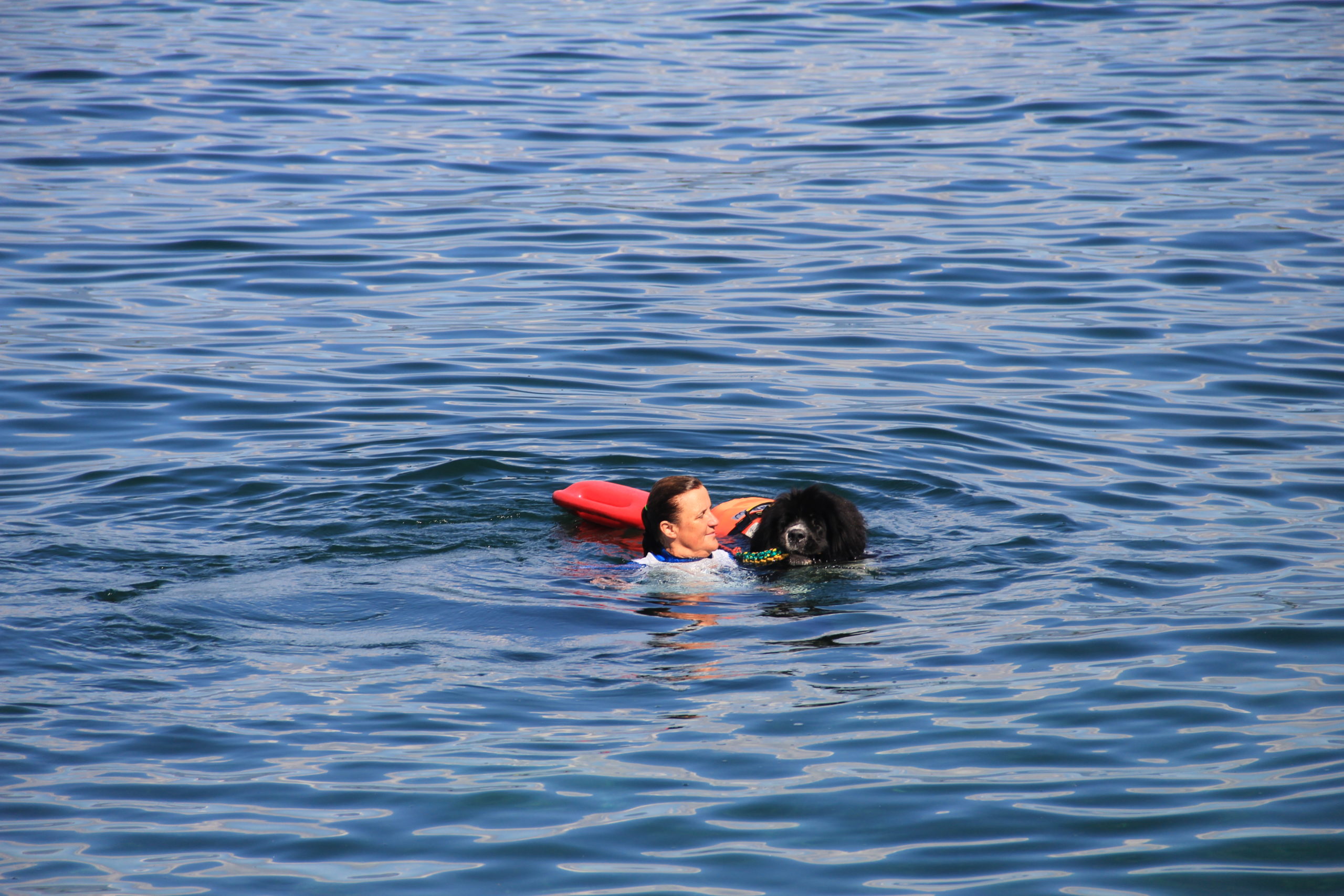 03 août 2025, entraînement à l’eau à la Belote, 10h00