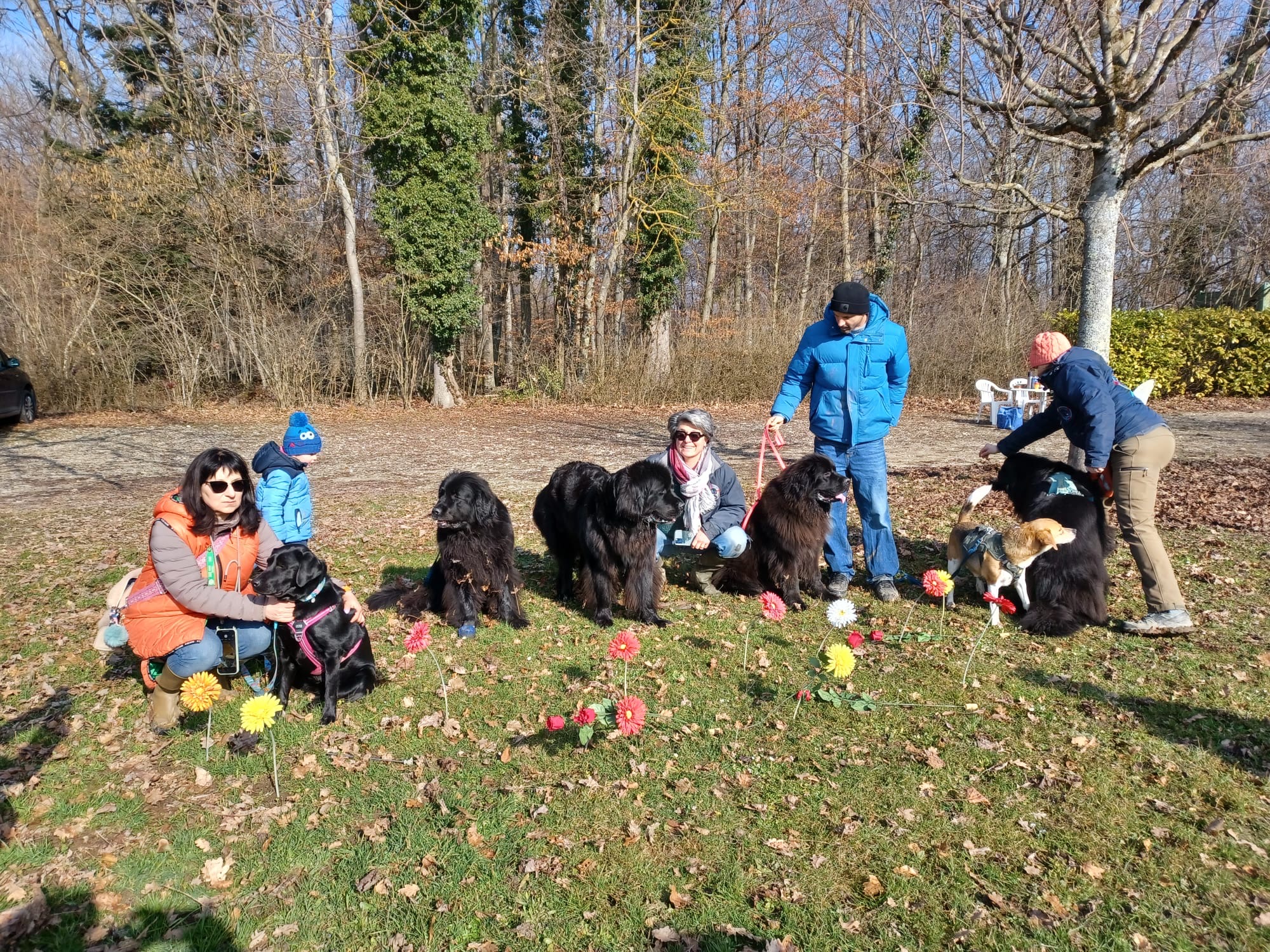 16 février 2025, entraînement au sol à Gland, 10h00