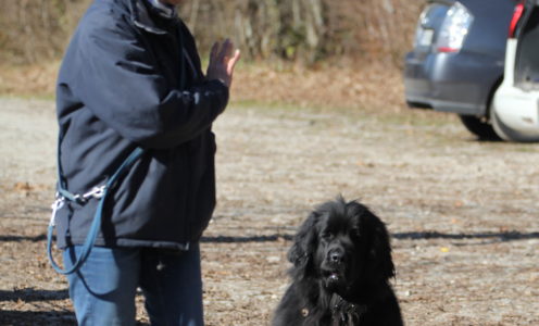 17 novembre 2024, entraînement au sol à Gland, 10h00