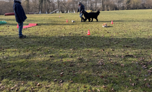 2026 Entraînement au sol 24 Octobre 2026