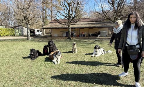 2026 Entraînement au sol 15 mars 2026 Gland