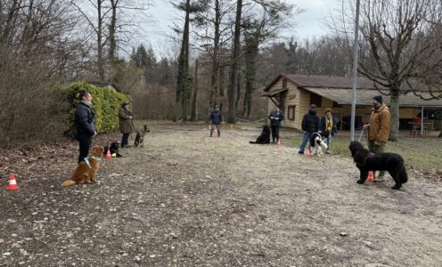 2026 Entraînement au sol 1er février 2026 Gland