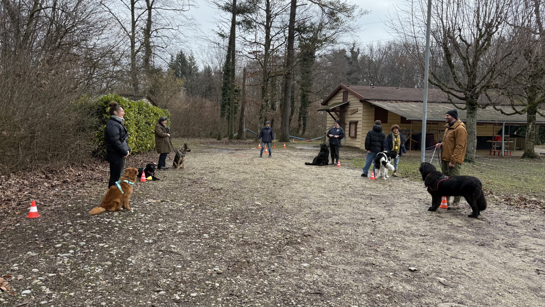 2026 Entraînement au sol 1er février 2026 Gland