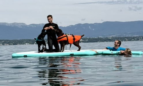 2026 Entraînement à l&rsquo;eau 31 mai 2026 Belotte, 10h00