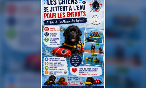 Viens nager avec les chiens 29 août 2026 Ponton de l’Aviron Nyon dès 10h00
