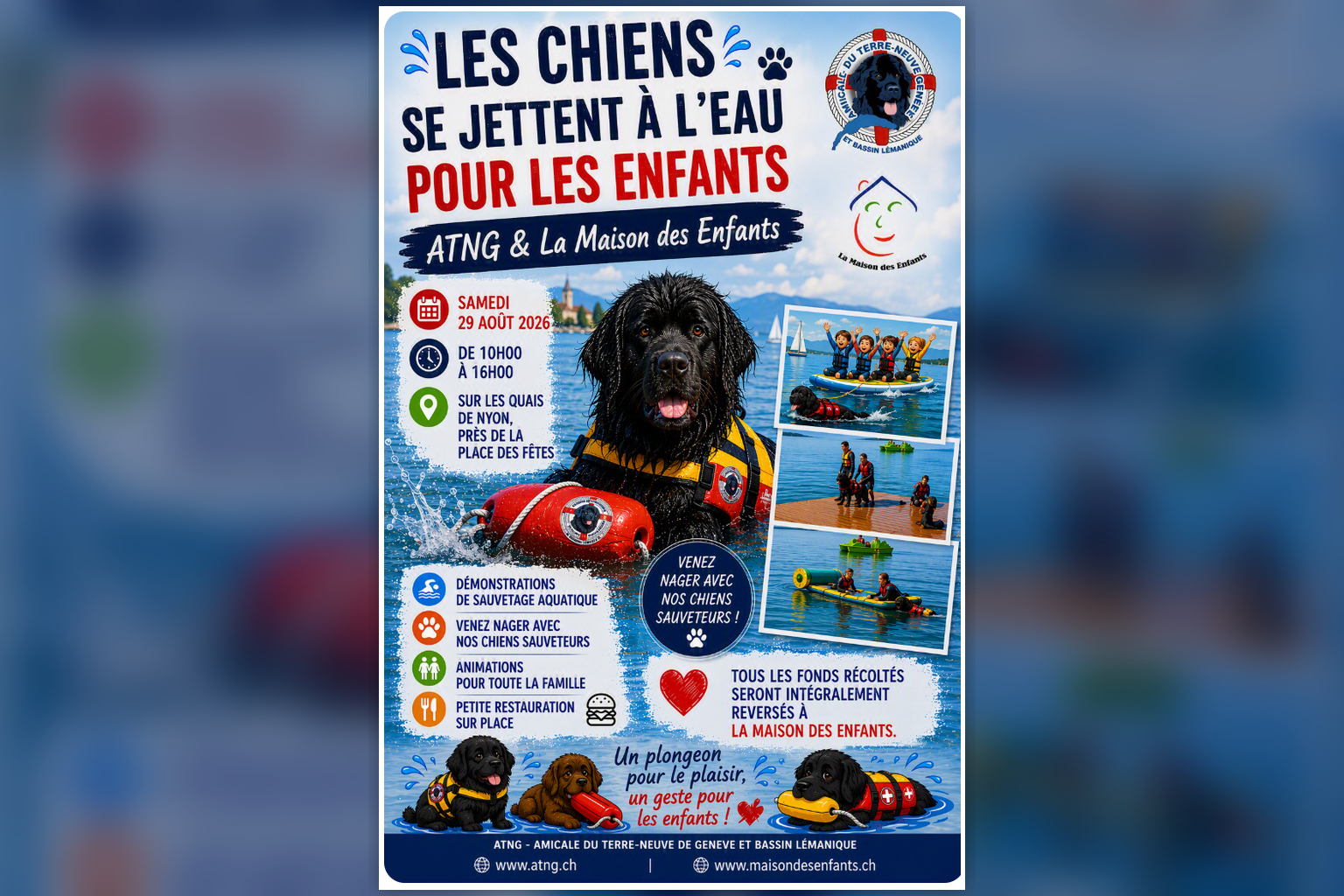 Viens nager avec les chiens 29 août 2026 Ponton de l’Aviron Nyon dès 10h00