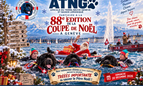 Coupe de Noël ,20 décembre 2026 Genève
