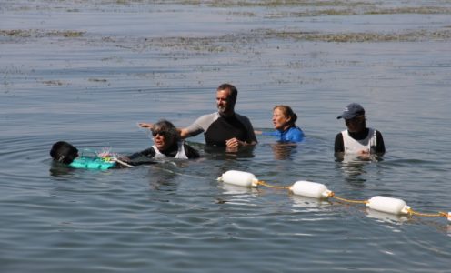 2026 Entraînement à l&rsquo;eau 19 juillet 2026 Allaman, 10h00
